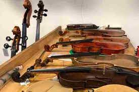 Payton Violins gambar png
