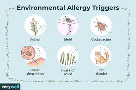 environmental allergies causes