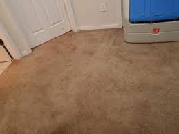 stay clean carpet cleaning and pressure
