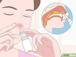 4 ways to clear a stuffy nose wikihow