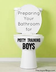 your bathroom for potty training boys