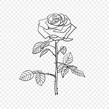flower drawing rose drawing
