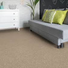 princeton junction plush carpet