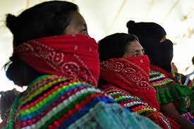 Resultado de imagen para Magdalena García, indígena mazahua, integrante del CNI