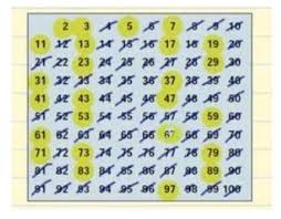 prime numbers what are they and how to
