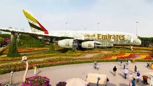 dubai miracle garden stock video