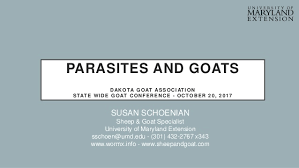 Parasites In Goats