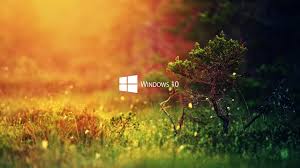Download this app from microsoft store for windows 10, windows 10 mobile, windows 10 team (surface hub), hololens. Nature Wallpaper Windows 10 Hd