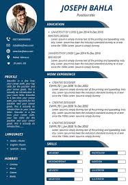 Professional cv format and layout. Professional Resume Template Ppt
