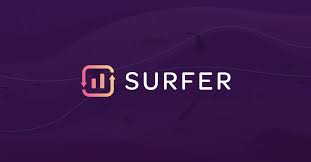 surfer seo review in 2024