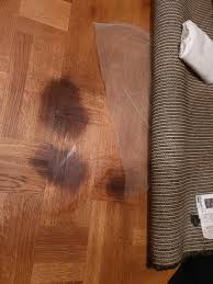 I had four cats that were all fixed and they sprayed all over on furniture, walls and hardwood floors. How To Remove 3 Year Old Urine Stains From Wooden Floors Cleaningtips