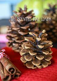 Diy Scented Pine Cones Taste Of The