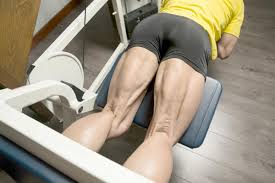 Pelvic & upper thigh anatomy. Leg Muscles List Anatomy Functions Of Legs Dr Seeds
