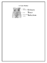 Veterianary case study  It s not always a simple urinary tract infection Scribd