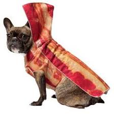 Image result for animals dressed as food