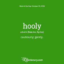 word of the day hooly dictionary com
