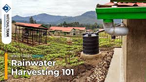 rainwater harvesting 101
