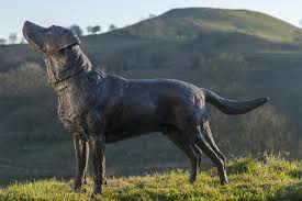 bronze labrador sculpture labrador