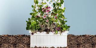22 diy garden trellis projects for all your climbing plants and flowers. A Trellis Planter For Plants And Privacy Trellis Planter Diy
