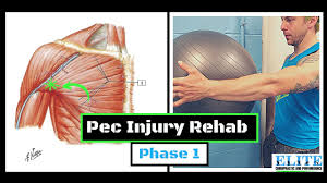 pec injury rehab phase 1 case study