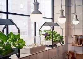 indoor gardening with hydroponic kit