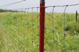 Steel Fence Posts Green Pvc Coated Or