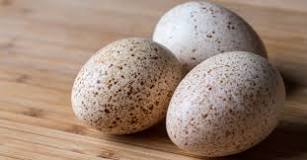 are-turkey-eggs-healthier