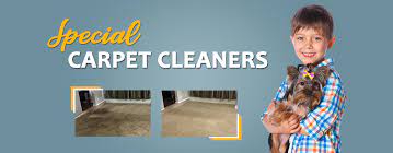 carpet cleaning kingwood tx