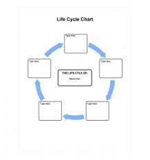 Life Cycle Chart Life Cycle Chart Template