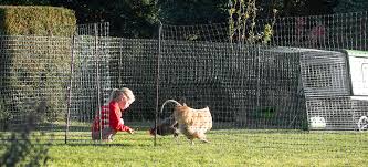 en fencing poultry netting for