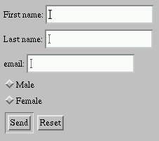Image result for simple html input  forms example