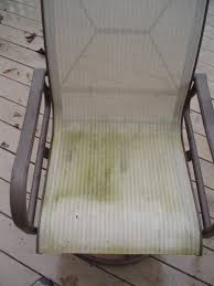 moldy patio chair picture image photo