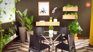 Una decoración simétrica y simple para la. Decora Tu Casa Con Plantas De Interior Youtube