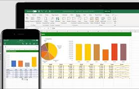 excel skills for business essentials