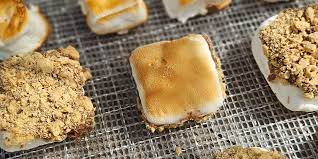 dehydrated roasted marshmallow s mores
