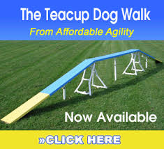 dog agility equipment at affordable