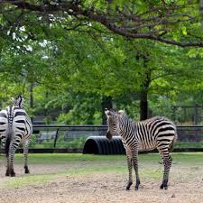 Como Zoo Conservatory