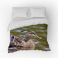 Duck Comforters Duvets Sheets Sets