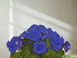what do blue roses mean history