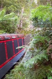 scenic world the best blue mountains