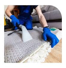 the best rug cleaning service company