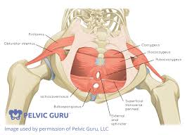 pelvic floor dysfunction treatment