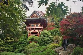 golden gate park anese tea garden