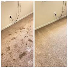 the best pet odor stain removal in