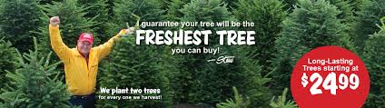 Know of a tree or menorah stew leonard's yonkers holds a menorah lighting celebration at 5:30 p.m. Talking Trees With Stew Stew Leonard S