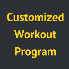 customized workout program