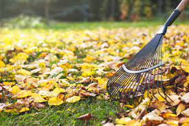 Mississauga Fall Clean Up Services Yardly