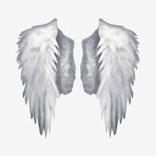✓ free for commercial use ✓ high quality images. Realistic Angel Wings Material Realistic Angel Wings Fanning Png Transparent Clipart Image And Psd File For Free Download