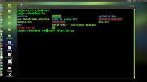 tar gz file in the linux terminal