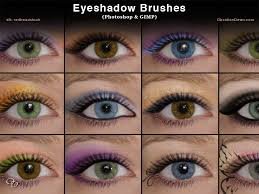 eyeshadow photo brushes photo